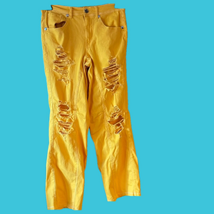 **LAST CHANCE ** Ashton Michael ripped yellow pants